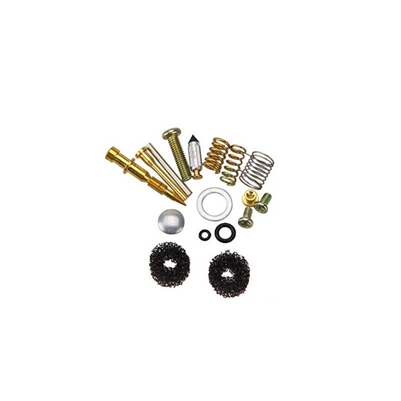 Carburetor Kit for Briggs & Stratton Craftsman, & Many more