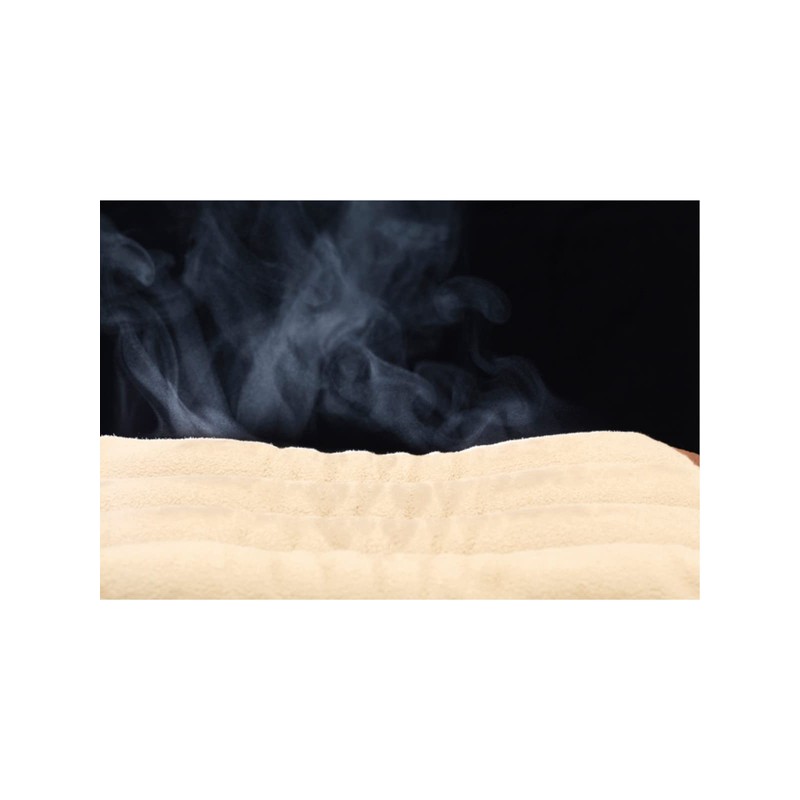 Fujisho Salofix Hot & Steam Pad for Face