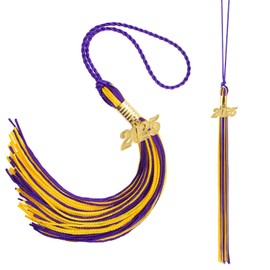 2025 Graduation Tassels - Purple & Gold, 2-Pack with Tassel Charms for Preschool Graduation Cap