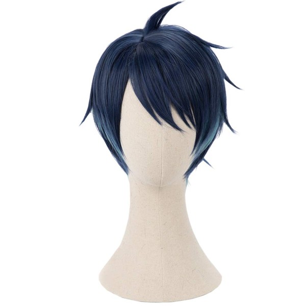 Cosplay Wig with Net Heat Resistant Wig Wig Halloween Costume