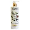 Jeanne en Provence Body Lotion & Divine Olive &