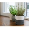 D'vine Dev 4.7 Inch Ceramic Planter Pot with Drainage Hole