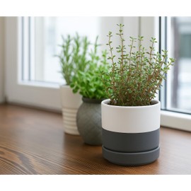 D'vine Dev 4.7 Inch Ceramic Planter Pot with Drainage Hole and Saucer, Indoor Cylinder Round Planter Pot, White/Speckled Grey, 94-O-B-6