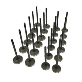 Lskioer Intake Exhaust Valves, 24Pcs Engine Intake & Exhaust Valves Kit Fits for 2004-2011 Chevy GM Pontiac Saturn 3.6L DOHC, Replaces 12610931,12621548