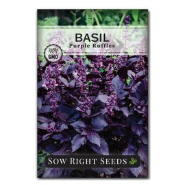 Sow Right Seeds - Purple Ruffles Basil Seeds for Planting - Non-GMO Heirloom Packet with Instructions - Indoors or Outdoor - Great for Hydroponics or Growing Kitchen Herb Garden - Purple Leaves (1)