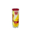 Wilson Championship Extra Duty 9 Tennis Ball (3x3), Yellow