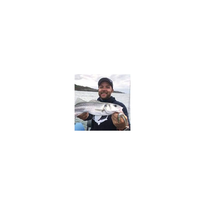 FIIISH Black Minnow 140-2 Jig heads Shore - 20g -