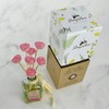 Penny & Rose Ceramic Rose Diffuser | Penny Candy Oil