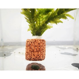 8Pcs Aquarium Water Plants Fixed Ring Ceramic Loop Aquarium Landscape Fish Tank Decorations Accessories Tool for Aquarium Plants Fixing