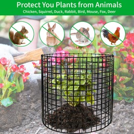 18Pcs Plant Protectors from Animals,13.5" Dia X 14.3" H Metal Plant Cages for Outdoor Plants Plant Cage & Supports Keep Animal Out Garden Wire Mesh Protection from Rabbit Chicken Squirrel Tree Flower