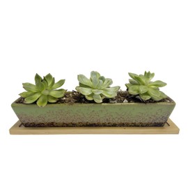 WISH HALLY WOOD 9.8inch green long rectangle Ceramic Succulent Planter Pots,2 set of Mini Flower Plant Containers with Bamboo Saucers. Product size:9.8x2.35x1.77inch,not include The plant. (Green)