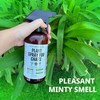 Kate's Home & Garden Plant Spray for Insects & Getting
