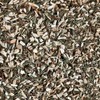 Matsuba Tea 3.5 oz (100 g), Made in Japan, Pine