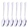 Qinglele 304 Stainless Steel Spoon Set of 6, Soup Spoon,