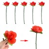 Coollooda Flower Magic Roses, Surprise Magic Set, Set of 5,