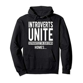 Introverts Unite Separately Your Own Homes Antisocial Gift Pullover Hoodie