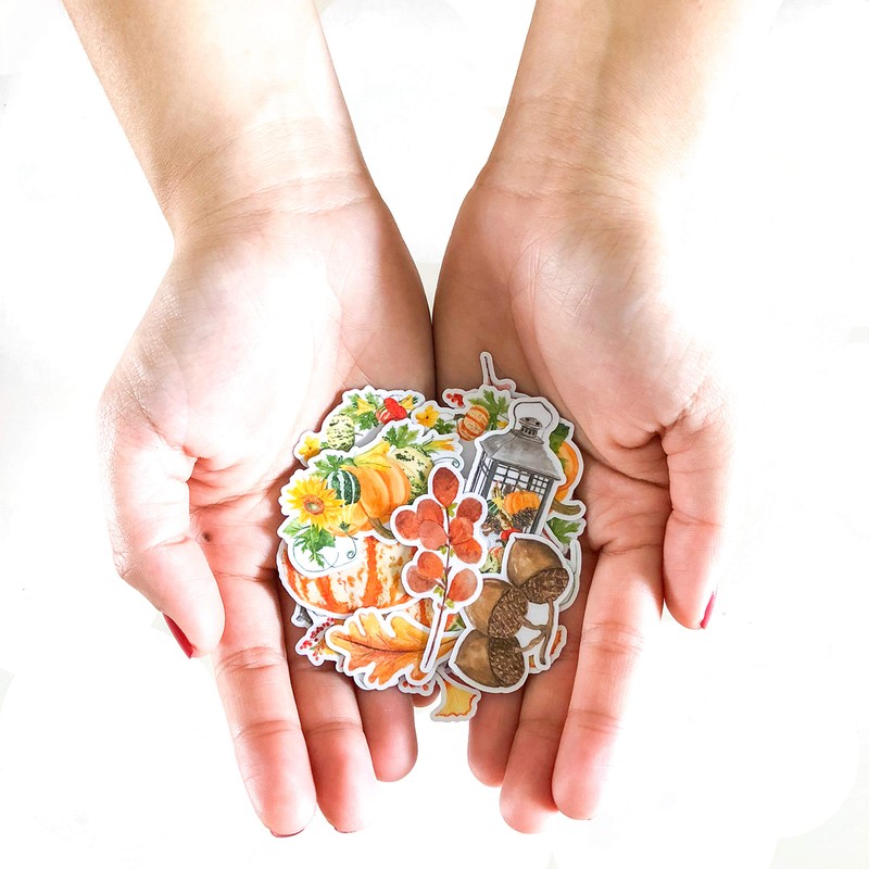 Navy Peony Cute Pumpkin Fall Stickers (25 Pieces) | Waterproof