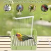 Automatic Bird Bath with Pump, Parrot Bathtub with Anti-Bite Cord