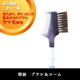 Shishida Seishindo PA-05 Makeup Brush, Brush & Comb