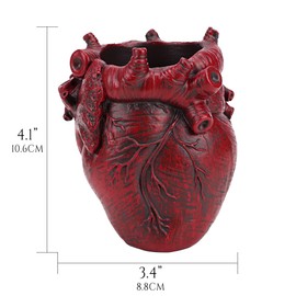 JANKOW Small Human Heart Shape Pencil Holder Real Human Heart Pen Holder 3D Real Heart Anatomy Model for Makeup Brush Pen Office Desk Supplies