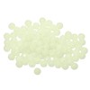 YELARXI Fishing Beads Glow Soft Plastic Fish Rigs 4 mm