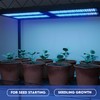 LED Grow Light
