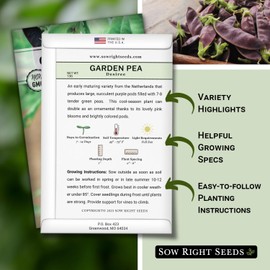 Sow Right Seeds - Desiree Snow Pea Seeds for Planting - Non-GMO Heirloom Packet with Instructions to Plant an Outdoor Home Vegetable Garden - Dwarf Bushes with Purple Pods - Large, Frost Resistant (1)