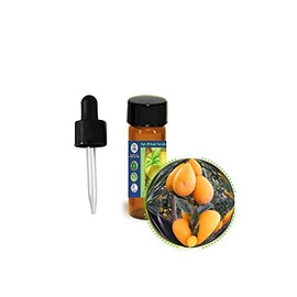 3.7ml (1/8oz) Bitter Orange (Citrus Aurantium) Essential Oil- 100% Pure, Undiluted, Uncut for Skin Care, Aromatherapy, Massage