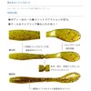 Buddyworks Flag Shad 4" CHG Charty Green