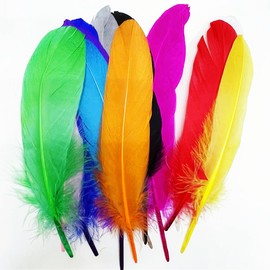 120PCS Colorful Long Goose Feathers 6-8in,12 Colors,Bulk Colored Natural Feathers for Crafts (15-20CM),for Wedding Dress and Party Decoration,DIY Fabricating Handicraft Article (Colorful)