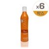 LOMA Rome Daily Shampoo 355ml 6pcs / LOMA 로마 데일리 샴푸 355ml 6개