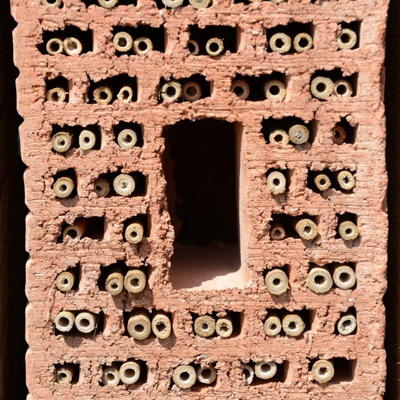 MAGICLULU 100Pcs Bee Tubes Mason Bee Nesting Tubes Reed Mason