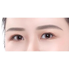 Plus Nao Eyebrow Template, Double Eyebrow, Set of 52, Sticking, Adjustable, Eyebrow Template, Eyebrow Plate, Eyebrow Stainless Steel - F