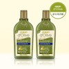 Dalan Olive Shampoo Dandruff Care Scalp Cooling Refreshing Feel 250ml 2 Bottles / 달란 올리브샴푸 비듬케어 두피쿨링 상쾌한사용감 250ml 2개