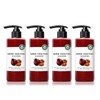 Jo Sung-ah Super Vegitox Cleanser 300ml Red 4ea _B / 조성아 슈퍼 베지톡스 클렌저 300ml 레드 4개 B