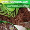 Anothera Anothera Coco Coir Brick for Plants- 12 Pack Premium