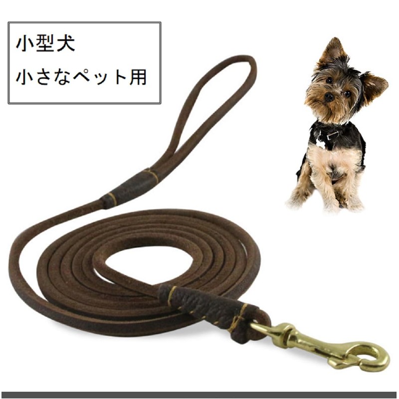 Small Dog Leash Leather, Dog Breed Weight Less Than 19.8