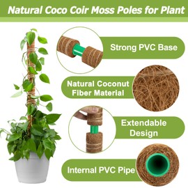 Sukh Moss Totem Pole - Moss Pole for Plants Monstera 2 Pcs 15.7 Inch Coco Coir Pole for Climbing Indoor Potted Plants Training Grow Upwards with Jute String Moss Stick for Plant Support Extension