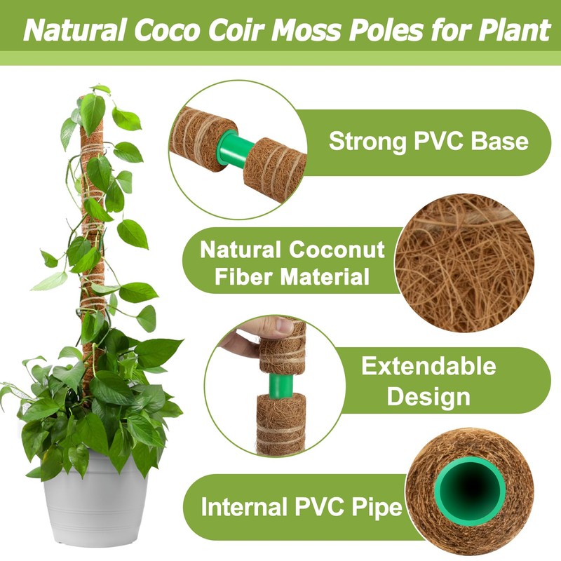 Sukh Moss Totem Pole - Moss Pole for Plants Monstera