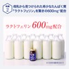 Morinaga Direct-Sale Lactoferrin Supplier Share No. 1 Supplement Morinaga Lactoferrin