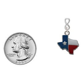 Delight Jewelry Silvertone Enamel Lone Star Texas Silvertone Infinity Post Earrings