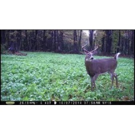 Feeders Outdoors 5 Lbs Deer Hunter's FALL DEER FOOD PLOT SEED MIX Wheat Oats Rye Peas + Brassicas