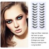 YPYMOD 10 Pairs of False Eyelashes, Natural Eyelashes, Wispy Lashes,
