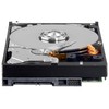 WD Green Desktop 1TB SATA 6.0 GB/s 3.5-Inch Internal Desktop
