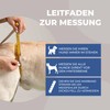 Nature Pet Dog Carry Aid Rear / Dog Walking Aid