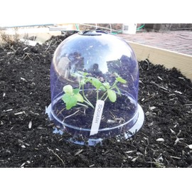 6-Pack! GrowAway Medium Reusable Plastic Mini Greenhouse, Cloche Dome, Plant Covers for Frost Guard Freeze Protection Outdoors, Garden Tools and Accessories - 10.24"Diam. x 7.48"H