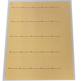 TAE C-31S6 Coin Album (Plain) Spare Mat
