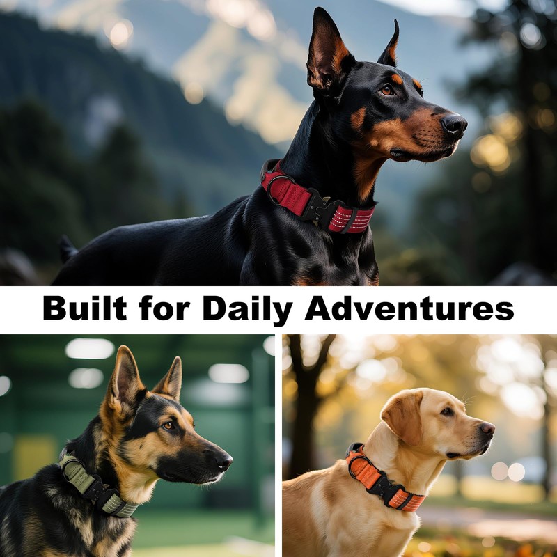 Plutus Pet Tactical Dog Collar with Tracker Pocket for AirTag,