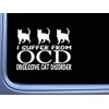 EZ-STIK OCD Cat Disorder M264 6 inch Sticker Crazy Lady
