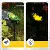 YZYOE Solar Powered Lotus Leaf Frog Light, Garden Decoration Resin